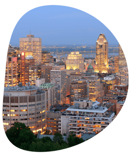 City of Carlsbad is using translation services to serve a diverse, multilingual demographic across the region.