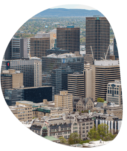 A city of Sacramento, nearby cities are benefiting from transcription in Sacramento while reviewing accurate transcripts.